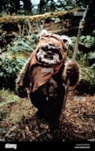 EWOK STAR WARS: RETURN OF THE JEDI; STAR WARS: EPISODE VI - RETURN OF ...