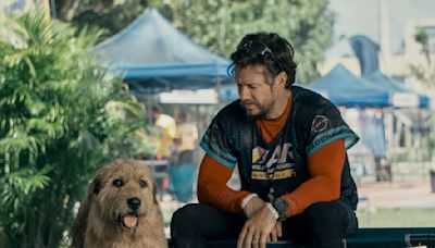 Trotz Tierhaar-Allergie: Mark Wahlberg liebt seine Hunde