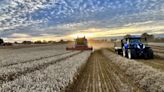 Harvest 2024 FW cover competition photo: Can you snap the winner? - Farmers Weekly