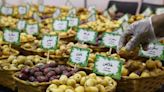Video: Most beautiful home-grown dates, best lemons and figs on display as 8th Al Dhaid Date Festival kicks off