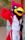 Big Red (Cardinals mascot)