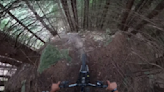 Freerider's POV Down Queenstown's "Most Iconic Secret Trail" Is Terrifying