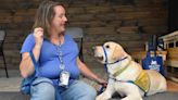 Canine Companions: Shaping future service dogs