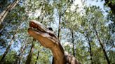 Fayetteville dinosaur attraction prepares to open for second season at Sweet Valley Ranch