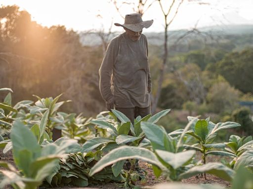 Escándalo en la Agencia Nacional de Tierras: revelan irregularidades en la compra predios por $17.000 millones