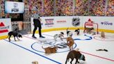 ‘Stanley Pup’ rescue dog competition debuts with pups representing each NHL team