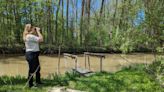 Decoy Marsh a unique haven for birding