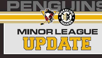 Minor league report: Nailers swept by Walleye