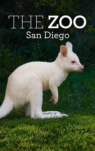 The Zoo: San Diego