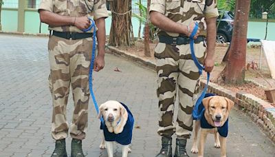 Rio the labrador joins Mangaluru International Airport dog squad