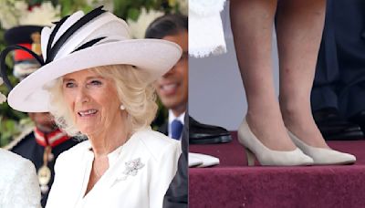 Queen Camilla Wears Her Favorite Style of Suede Pumps To Welcome Japan’s Emperor Naruhito to London