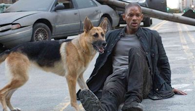 Will Smith Praises Working with His Canine Costar in “I Am Legend”: 'Like Working with a Brilliant Actress'