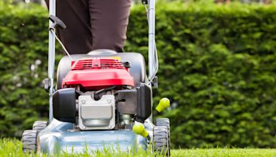 Attention à ces moments où vous n’avez pas du tout le droit de tondre votre pelouse