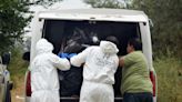 Autoridades hallan cuerpos de 11 personas asesinadas en el sur de México - La Opinión