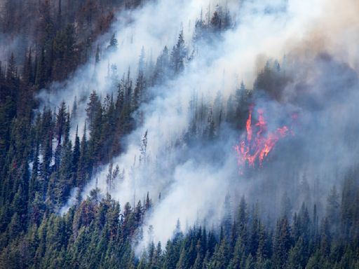 Can wildfire smoke make you sick? How to stay safe amid air quality alerts, wildfire evacuations in Canada