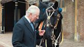 Royal Canadian Mounted Police give horse to King