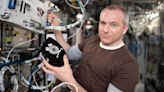 MIT pushes bone loss study in space that affects 650 million globally