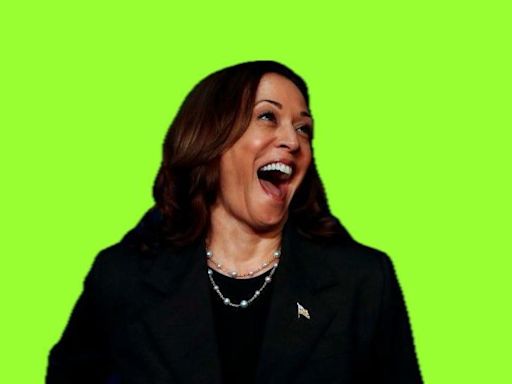 The internet is enthralled with Harris. Will that get her more votes?