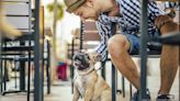 First Watch in Winter Springs gets pet-friendly outdoor seating area - Orlando Business Journal