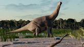 Un titanosaurio descubierto en la Patagonia sugiere que algunos dinosaurios redujeron su tamaño antes de la gran extinción
