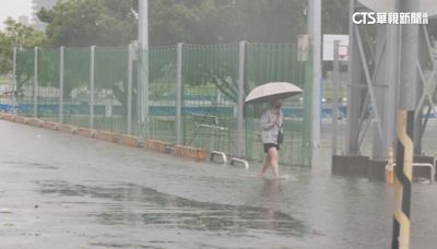 低壓帶影響「雨炸全台」！ 雙北路樹倒.階梯變瀑布