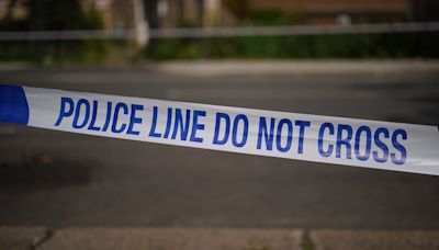 Police investigating bodies ‘found in car rented by British citizen in Sweden’