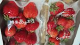 日本農藥違規草莓邊境逐批查驗仍破功 好市多、微風、唐吉軻德都有賣