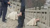 蘇州工業園區女子手腳被綁片瘋傳 官方闢謠翻車 網民：公布細節