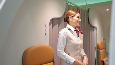 Flight attendant settles major debate over ownership of middle armrest