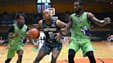 Patroons knock out Reading in TBL playoff opener