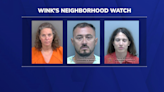 WINK Neighborhood Watch: Fraud, Pedophilia and Sexual Battery