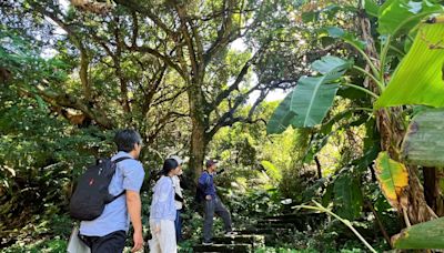 十三行推四條綠色輕旅行 走透秘境開放報名