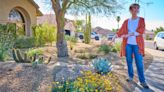 'AZ Plant Lady' writes book on desert gardening with more than cactus and rocks