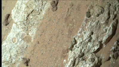 This Mars rock could show evidence of life. Here's what Perseverance rover found.