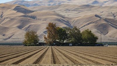 Charging California farmers for groundwater use could yield massive conservation gains, researchers find