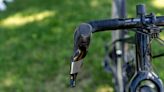 SRAM Set to Issue Voluntary Recall for 12-Speed Road Shifters