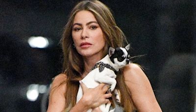 Sofia Vergara cuddles up to her pet dog as she heads to the cinema