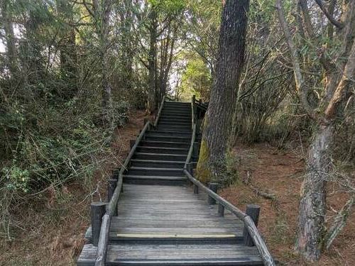 登山踏青注意！雪霸國家公園雲霧步道 7/20起整修5個月 | 生活 | Newtalk新聞