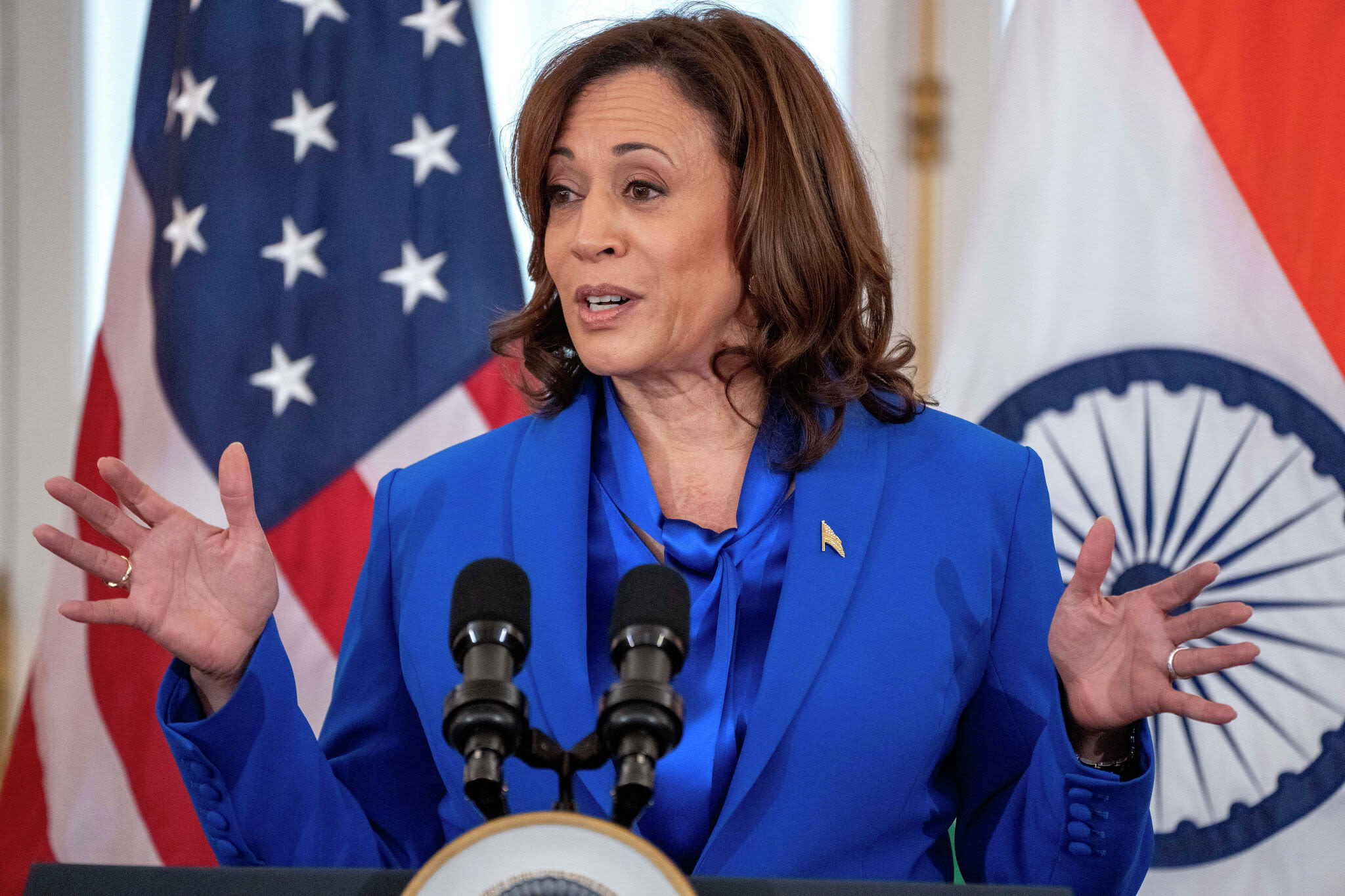 Connecticut Democratic delegates vote to support Vice President Kamala Harris