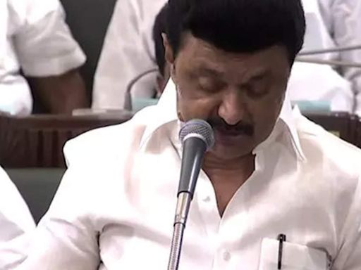 Tamil Nadu govt to establish international airport in Hosur: State CM Stalin