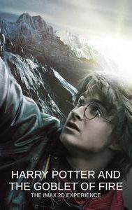 Harry Potter and the Goblet of Fire (film)