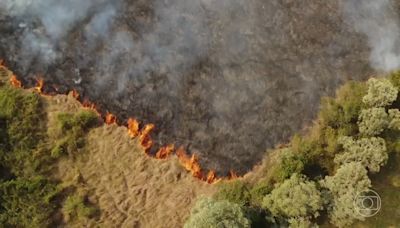 Fogo no Pantanal destrói o equivalente a 680 mil campos de futebol