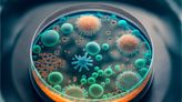 Soligenix, Inc: Vital Vaccine Development Program has Potential to Address Future Marburg Virus Outbreaks