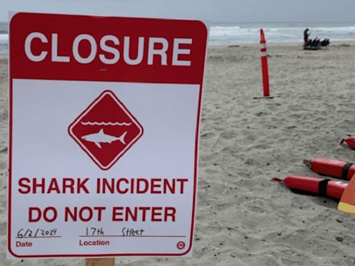Del Mar, Calif., beaches closed following shark attack
