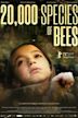 20,000 Species of Bees