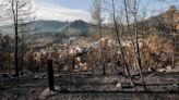 El lado positivo de (algunos) incendios forestales: sostenibles y necesarios
