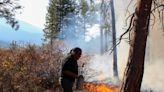 Canada looks to centuries-old indigenous use of fire to combat out-of-control wildfires