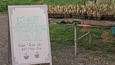 'A great way to save money': MAP hosting annual Seedling Sale event this weekend