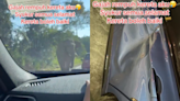 Family car shoved by passing elephant following encounter at Gerik-Jeli route (VIDEO)