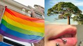 ¿Qué se celebra el 28 de junio? Hoy es Día del Orgullo LGBT, Día Mundial del Árbol y Día Internacional del Piercing Corporal